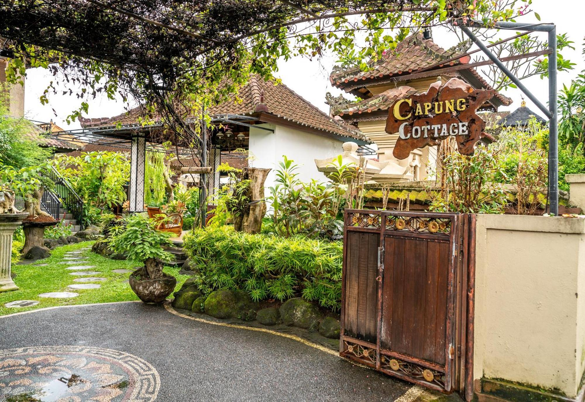 Capung * Ubud